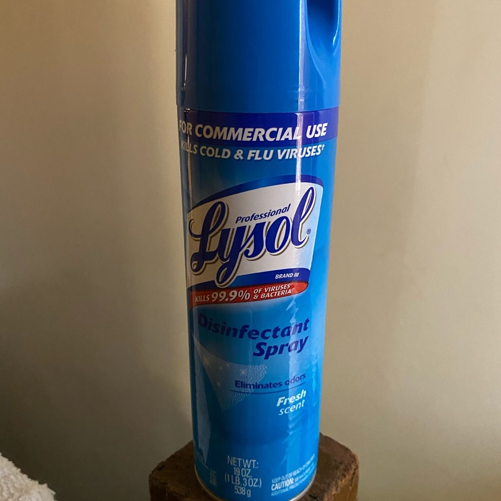 Lysol Disinfectant Soray 19 oz (fresh scent)